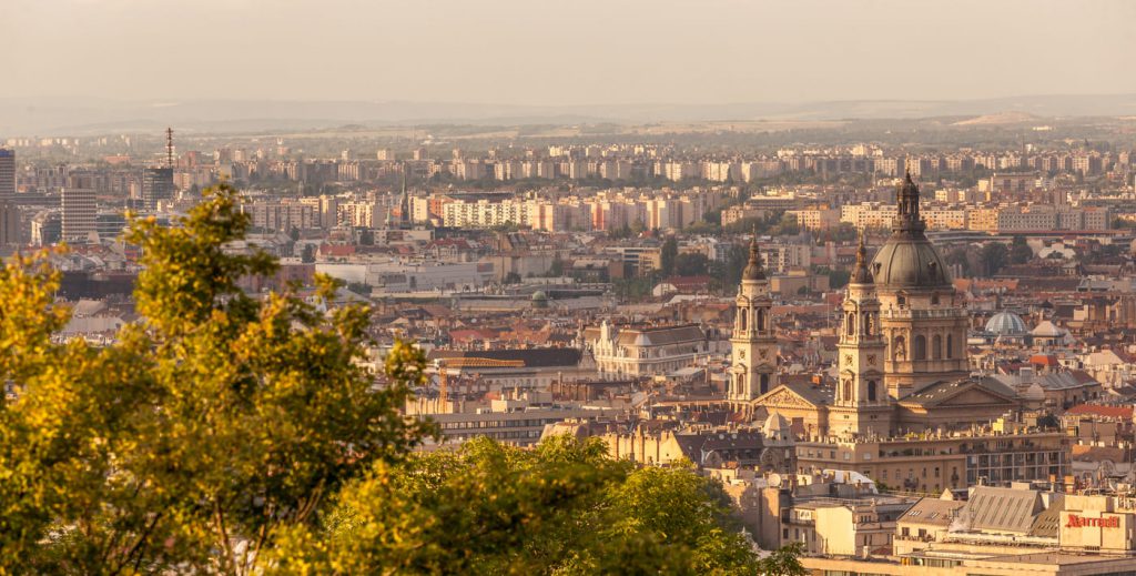 ZFE Saint-Étienne